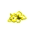 Golden Goldeen